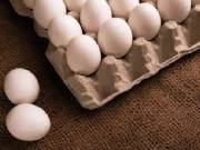 Egg