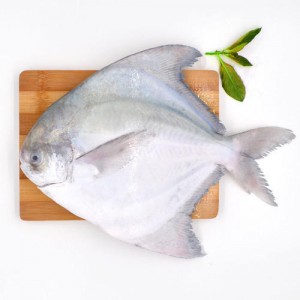 Pomfret Fish 500gm